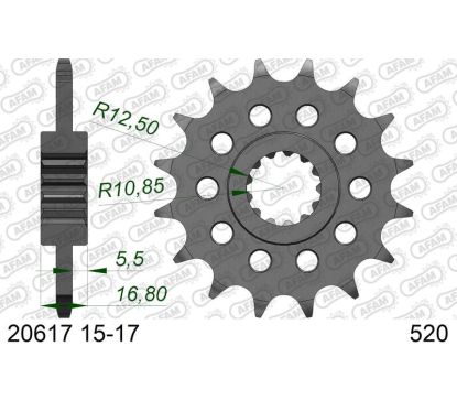 Pignon AFAM acier standard - 520