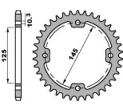 Couronne PBR acier standard - 520