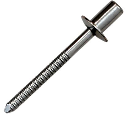 RIVET SS D4 8x8 CLEAR