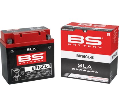 Batterie AGM SLA activée en usine sans entretien