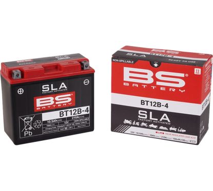 Batterie AGM SLA activée en usine sans entretien