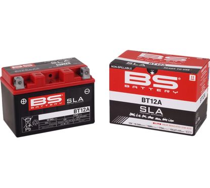 Batterie AGM SLA activée en usine sans entretien