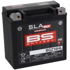 Batterie AGM SLA MAX Factory-Activated sans entretien