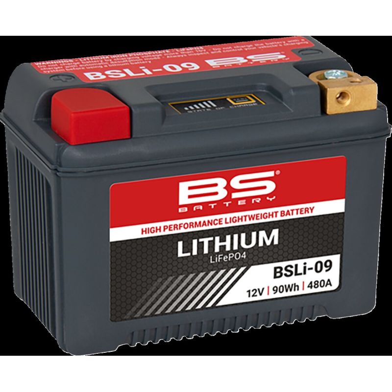 Batterie lithium LiFePO4
