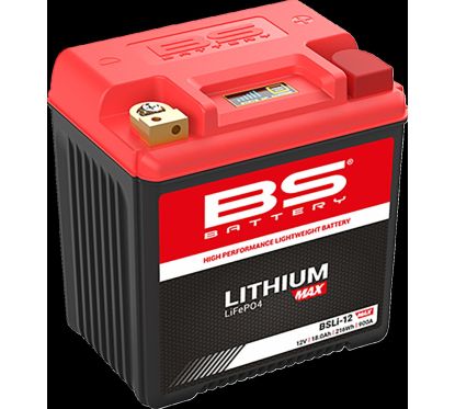 Batterie Lithium Max LiFePO4