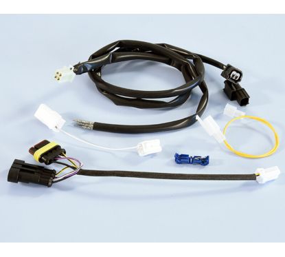 Connecteur/faisceau de câbles POLINI