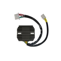 Régulateur ELECTROSPORT