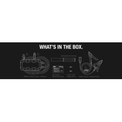 Chargeur de batterie intelligent NOCO Genius10 6/12V 10A