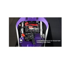 Connecteur à œillet BS BATTERY PA-01 MAX