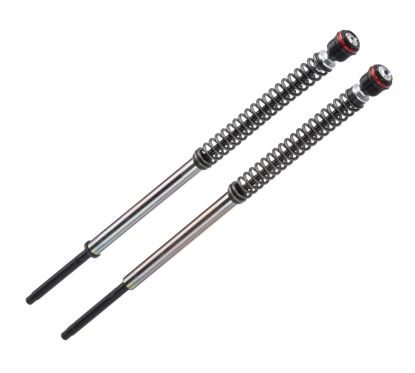 Cartouches de fourche série JBH12