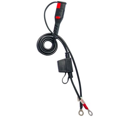 CHARGEUR DE BATTERIE BS10 6 V/12 V-1 A - Prise Royaume-Uni