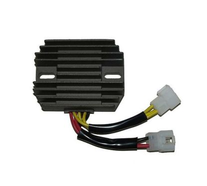 Régulateur ELECTROSPORT