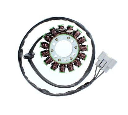 Stator ELECTROSPORT - BMW S1000R