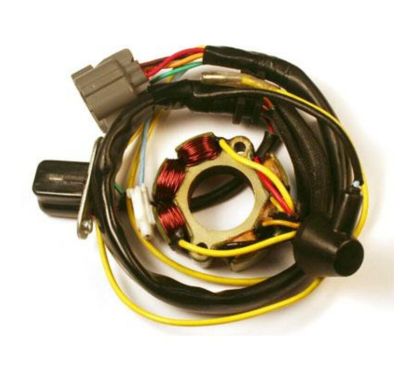 Stator avec bobine d'éclairage ELECTROSPORT - Suzuki RM-Z250