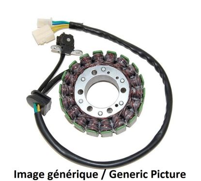 Stator ELECTROSPORT - BMW G650