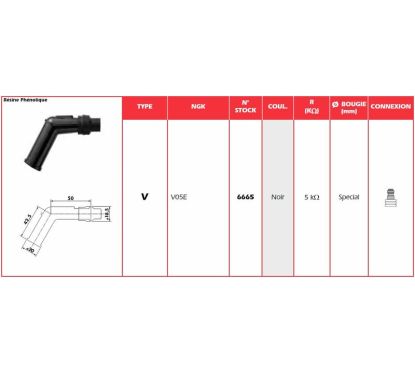 Anti-parasite NGK - V05E