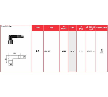 Anti-parasite NGK - LB05EZ