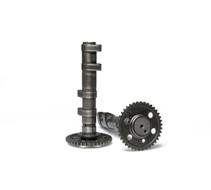 Arbre à cames MALOSSI Power Cam