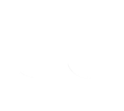 Joints spy de fourche