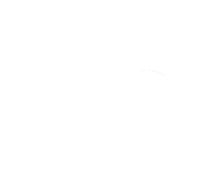 Joints spy de fourche