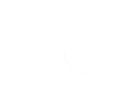 Joints spy de fourche