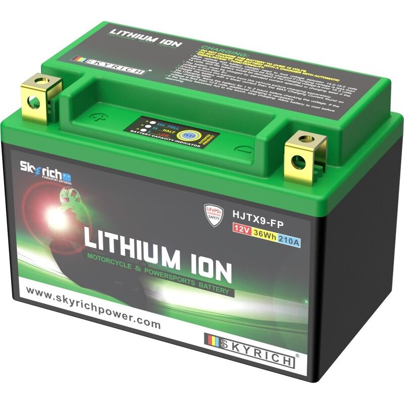 Batterie SKYRICH Lithium-Ion - LTX9-BS