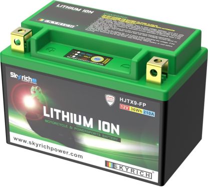 Batterie SKYRICH Lithium-Ion - LTX9-BS