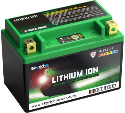 Batterie SKYRICH Lithium-Ion - LTX9-BS