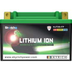 Batterie SKYRICH Lithium-Ion - LTX9-BS