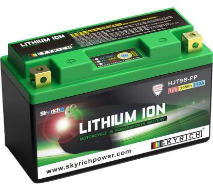 Batterie SKYRICH Lithium-Ion - LT9B