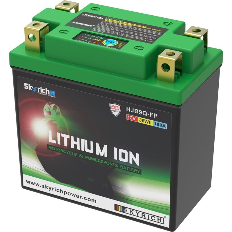 Batterie SKYRICH Lithium-Ion - LIB9