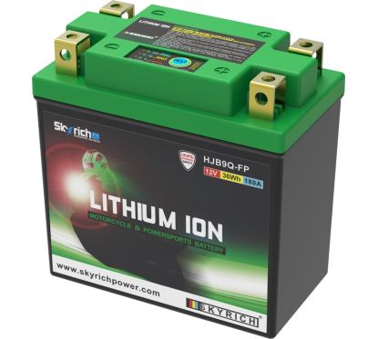 Batterie SKYRICH Lithium-Ion - LIB9