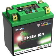Batterie SKYRICH Lithium-Ion - LIB9