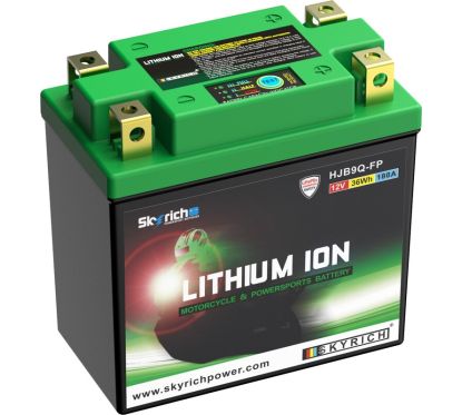 Batterie SKYRICH Lithium-Ion - LIB9