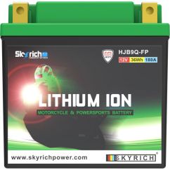 Batterie SKYRICH Lithium-Ion - LIB9