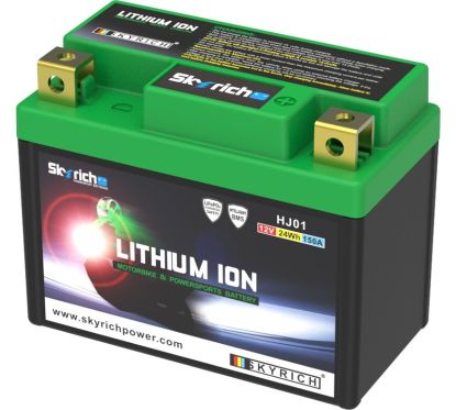Batterie SKYRICH Lithium-Ion - HJ01