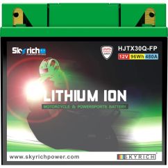 Batterie SKYRICH Lithium-Ion - LTX30LHQ