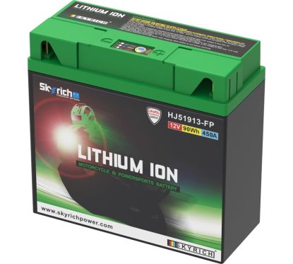 Batterie SKYRICH Lithium-Ion - 51913