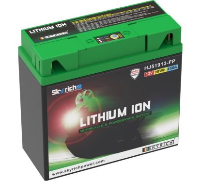 Batterie SKYRICH Lithium-Ion - 51913