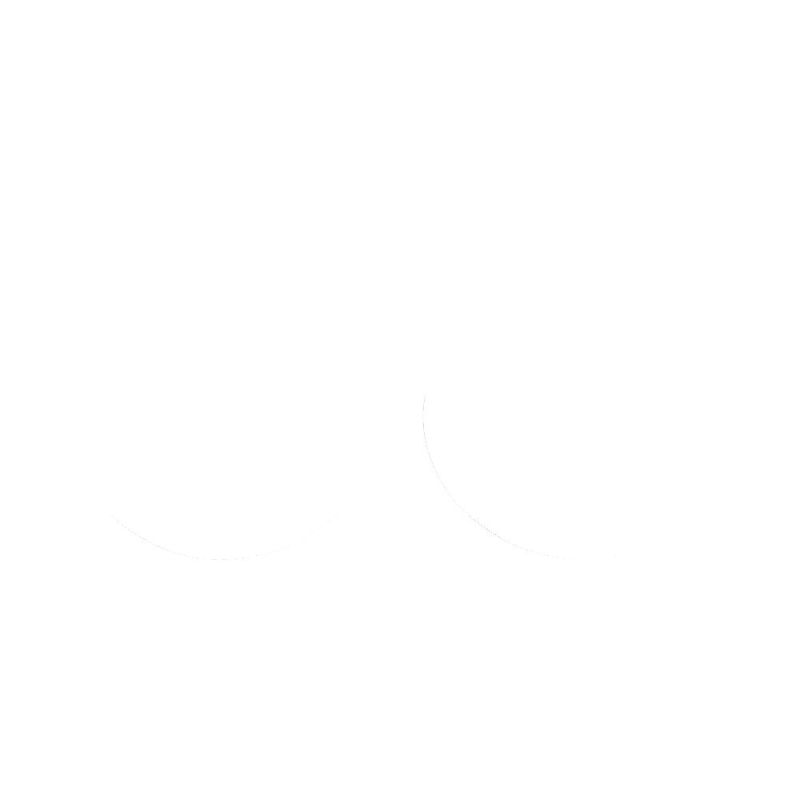 Joints spy de fourche