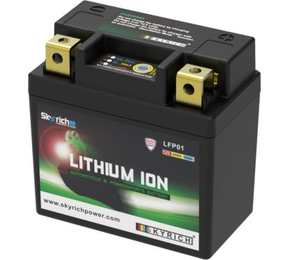 Batterie SKYRICH Lithium-Ion - LFP01