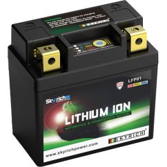 Batterie SKYRICH Lithium-Ion - LFP01