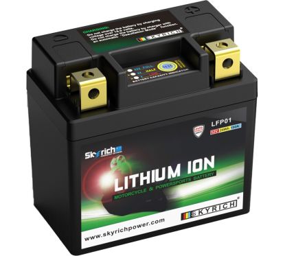 Batterie SKYRICH Lithium-Ion - LFP01