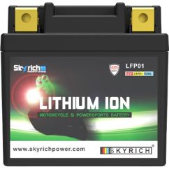 Batterie SKYRICH Lithium-Ion - LFP01