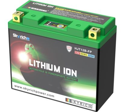 Batterie SKYRICH Lithium-Ion - LT12B