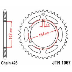 Couronne JT SPROCKETS Acier Standard - 428
