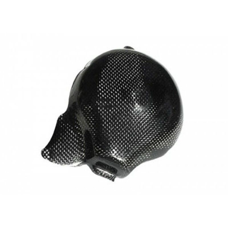 Couvre carter alternateur LIGHTECH carbone brillant