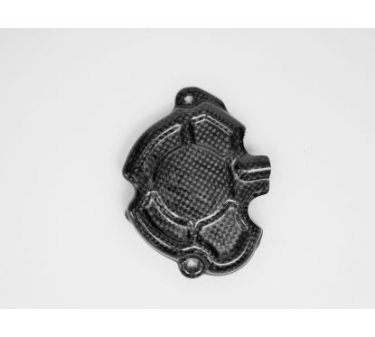 Couvre carter allumage LIGHTECH carbone brillant