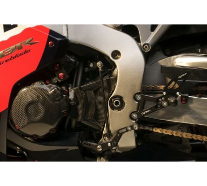 Couvre carter alternateur LIGHTECH carbone brillant