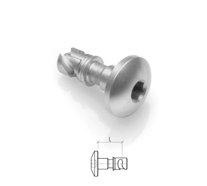 Vis zeus LIGHTECH 14mm acier à l'unité